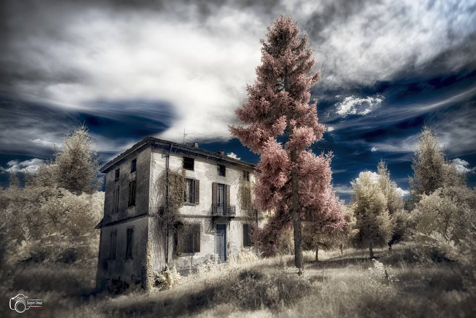 Infrared Passion by Domiad Photo Network