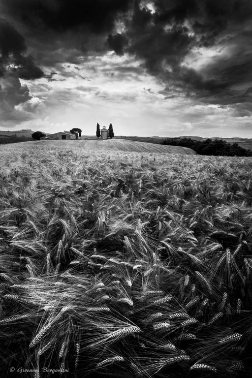 Paesaggio rurale in bianco e nero: la fotografia di Giovanni Bergantini