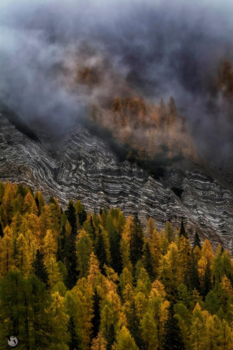 Paesaggio autunnale tra roccia, foresta dorata e nebbia