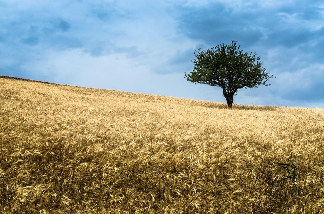 Salvo DI Vento‎.jpg