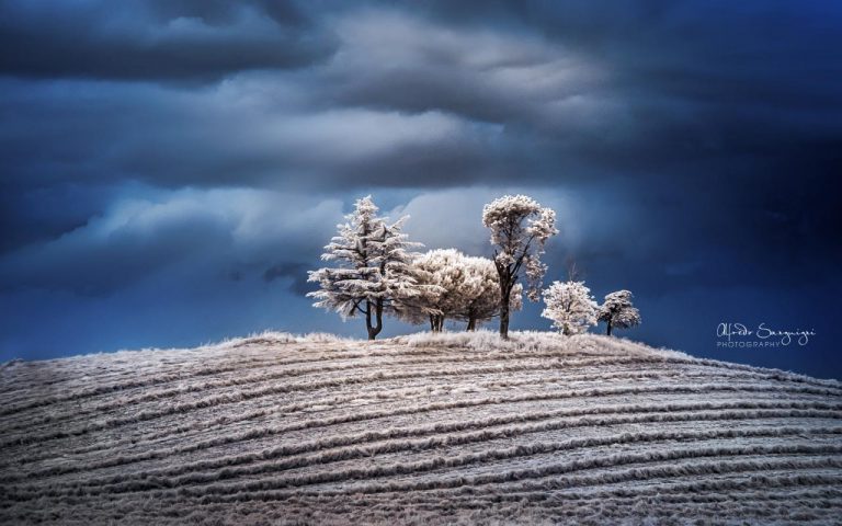 Paesaggio innevato sotto la tempesta: blu intenso e luce sugli alberi