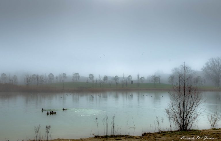 Fotografia nella nebbia: Leonardo Del Gaudio tra acqua e anatre