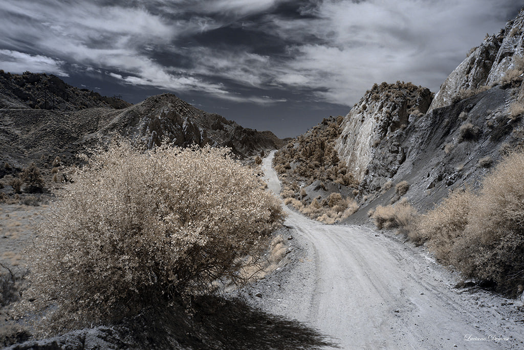 Photojournalism_Cover-enzo-dal-verme1