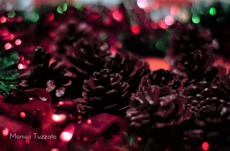 Natura morta natalizia con pigne e luci colorate di Monica Tuzzato