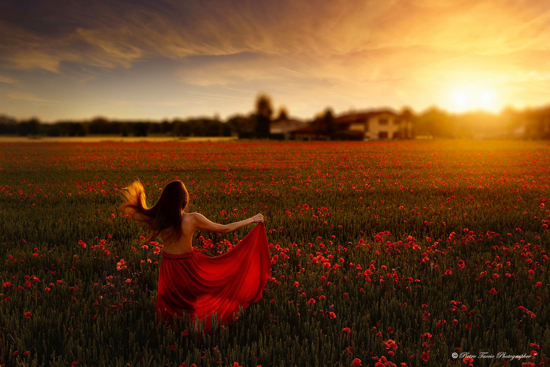 Danza tra papaveri al tramonto: leggerezza e drammaticità in controluce