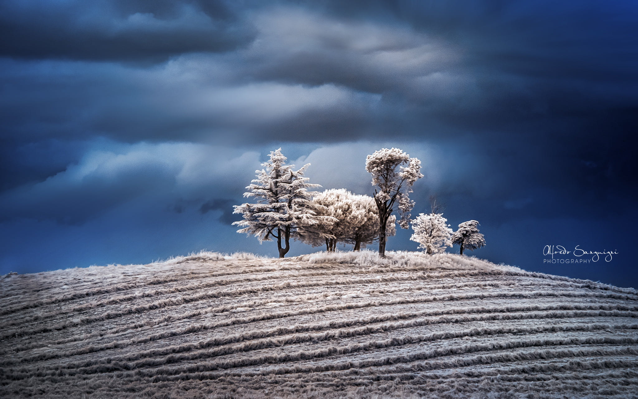 Equilibrio tra quiete e potenza: gelo e luci sul paesaggio innevato
